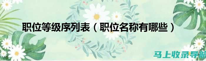 站长职位等级揭秘：不同等级的工作内容与挑战